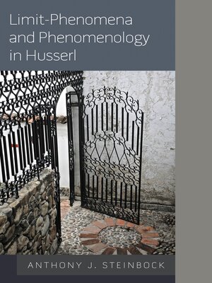 cover image of Limit-Phenomena and Phenomenology in Husserl